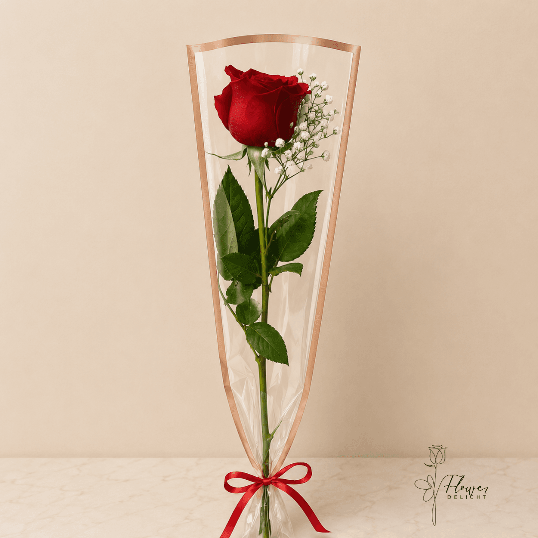 Single Red Rose in Clear Sleeve by Flower Delight